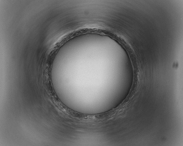 X0000111820968200907231020