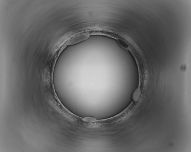 X0000111820969200907231020