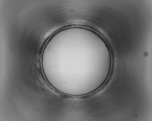 X0000111820970200907231020