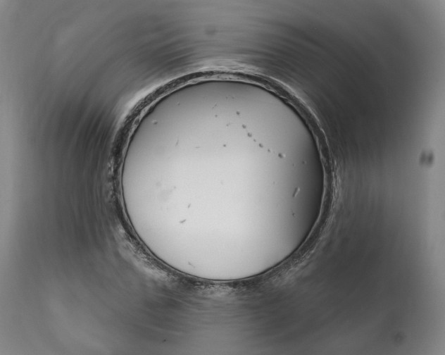 X0000111820971200907231020