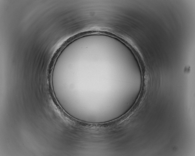 X0000111820972200907231020