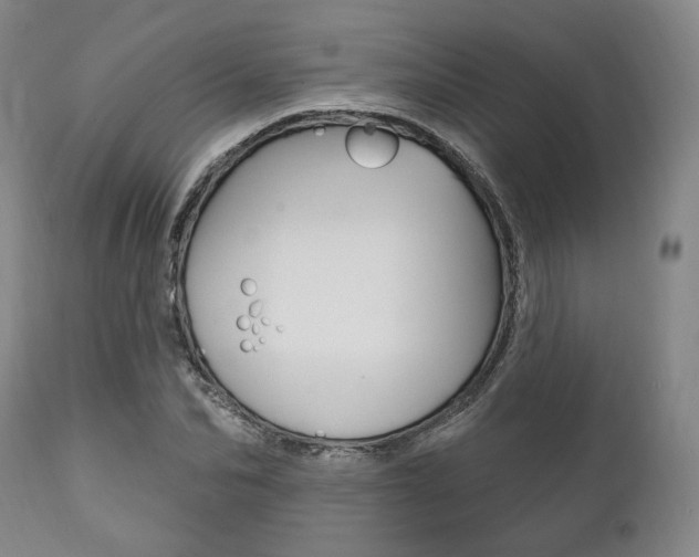 X0000111820974200907231020