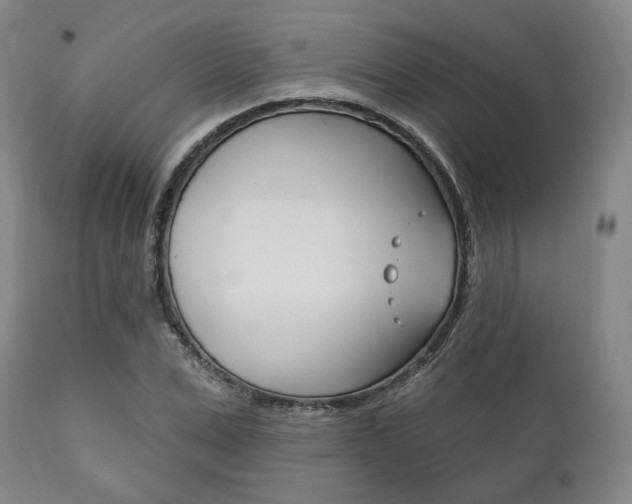 X0000111820975200907231020