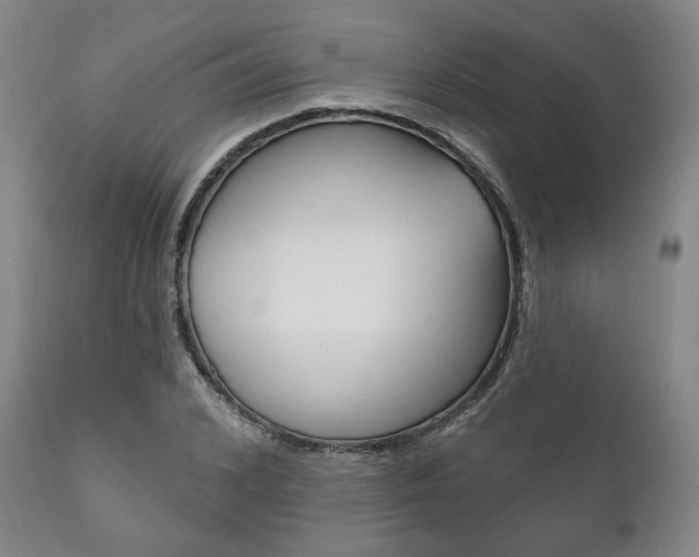 X0000111820976200907231020