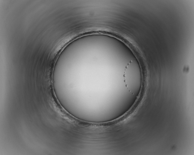 X0000111820977200907231020