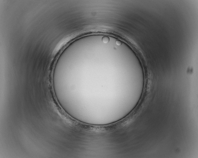 X0000111820978200907231020