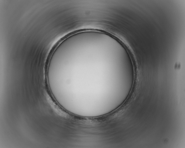 X0000111820980200907231020