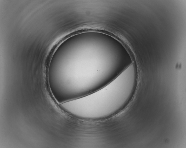 X0000111820981200907231020