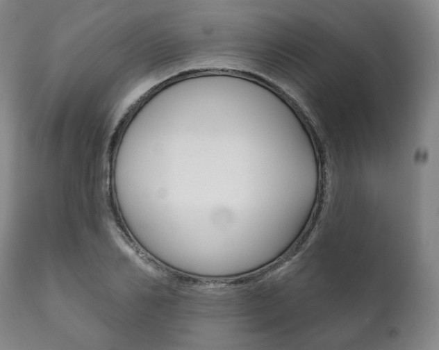 X0000111820982200907231020