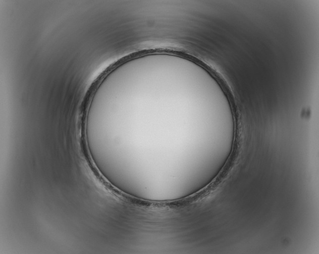 X0000111820983200907231020