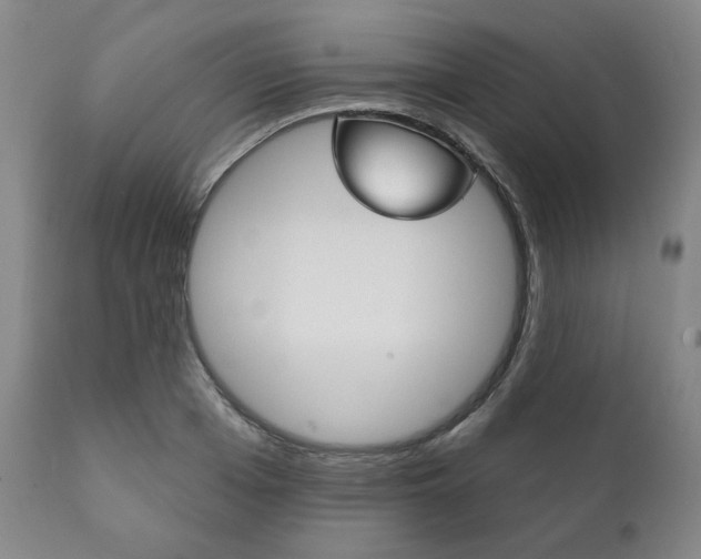 X0000111820985200907231020