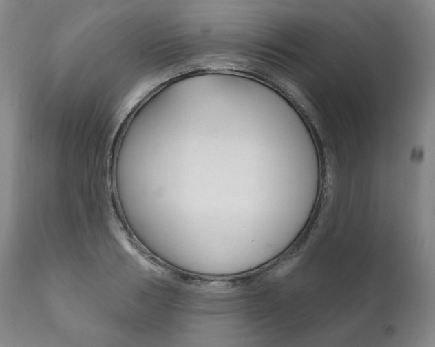 X0000111820986200907231020