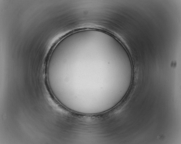 X0000111820987200907231020