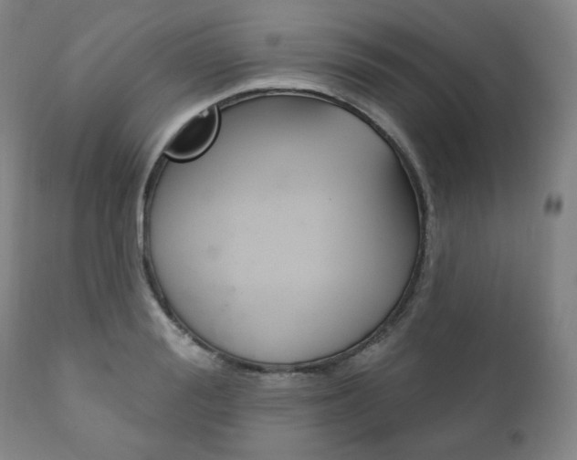 X0000111820988200907231020
