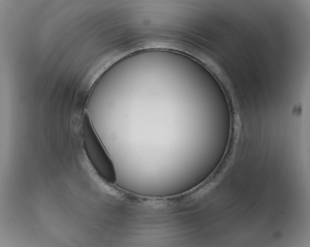 X0000111820993200907231020