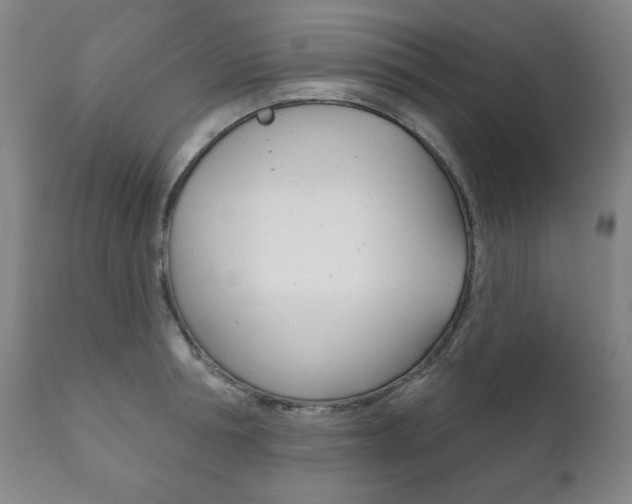 X0000111820994200907231020