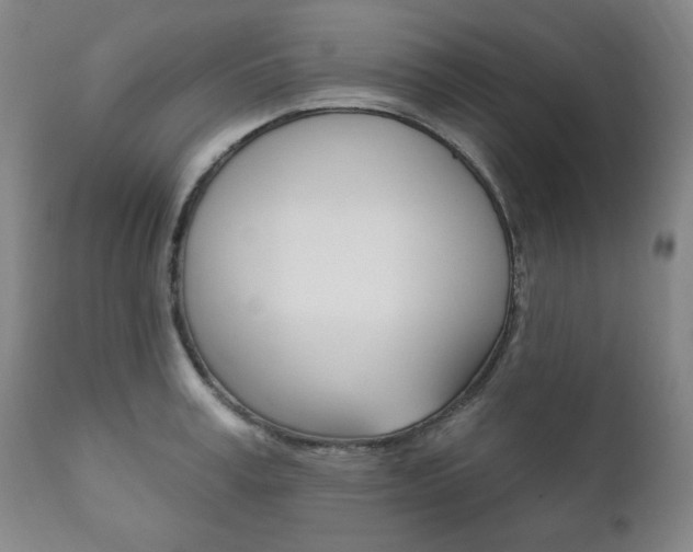 X0000111820995200907231020