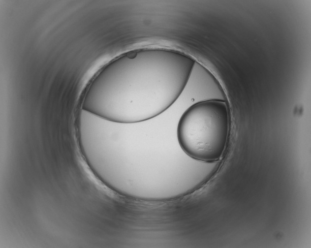 X0000111820997200907231020
