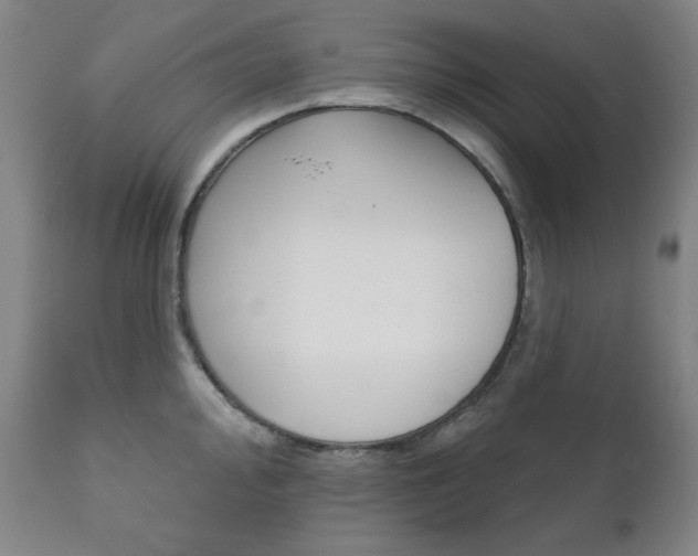 X0000111821000200907231020