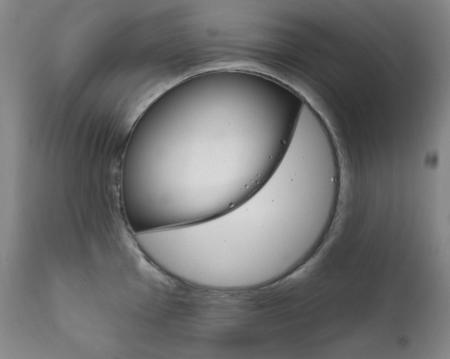 X0000111821001200907231020