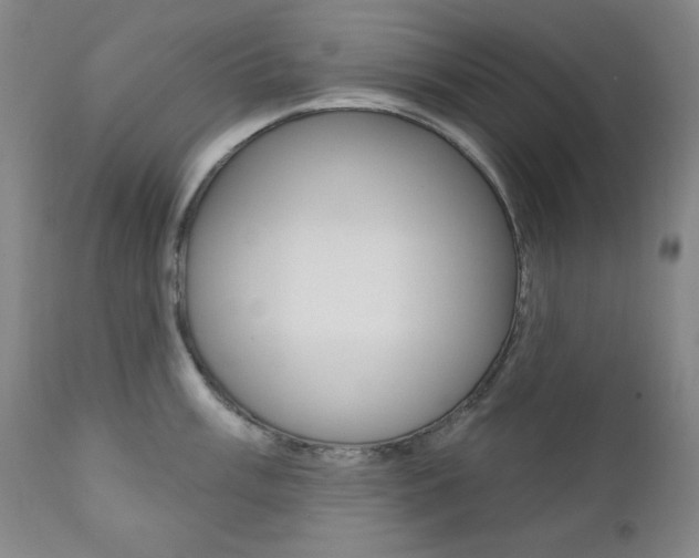 X0000111821003200907231020