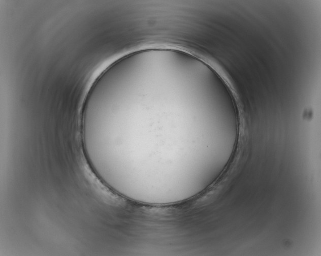 X0000111821004200907231020