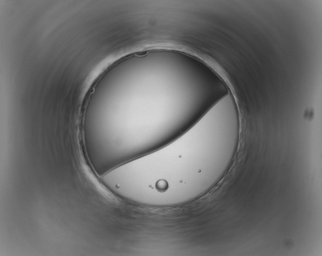 X0000111821005200907231020
