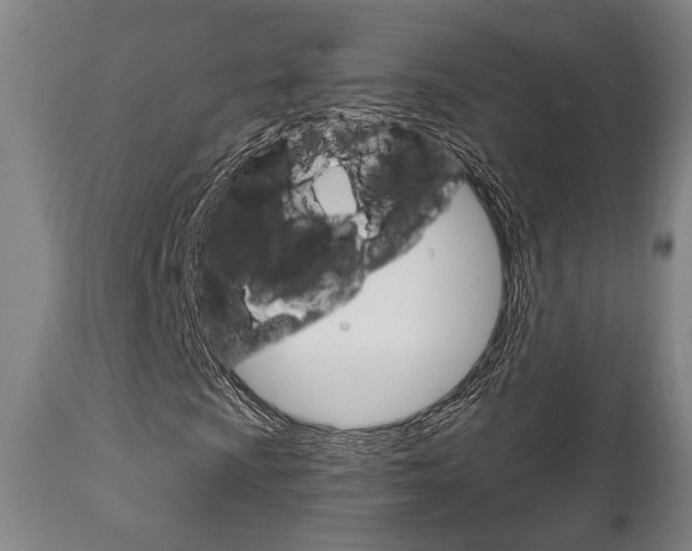 X0000111821009200907231019