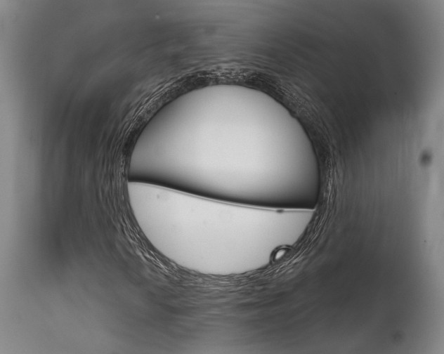 X0000111821010200907231019