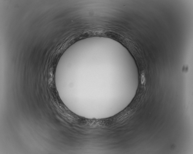 X0000111821011200907231019