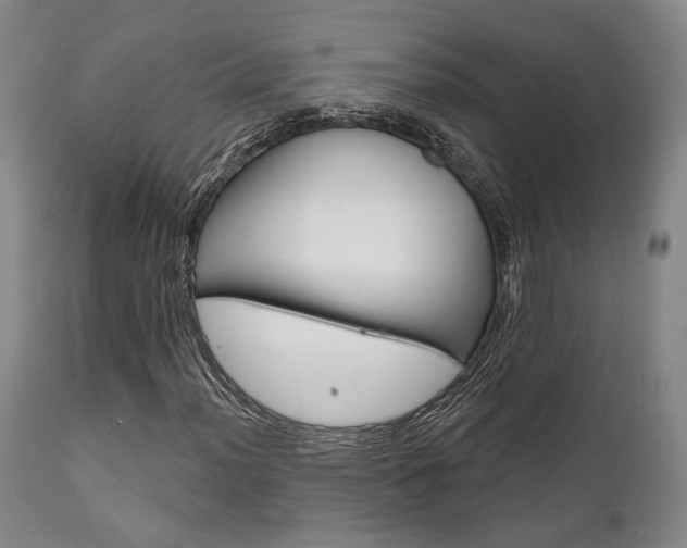 X0000111821012200907231019