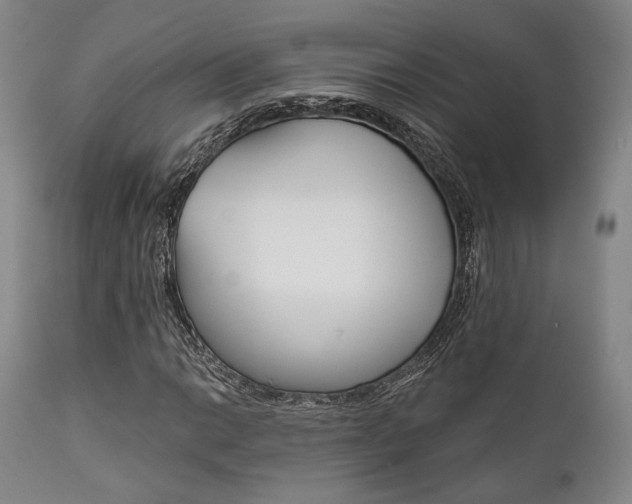 X0000111821014200907231019