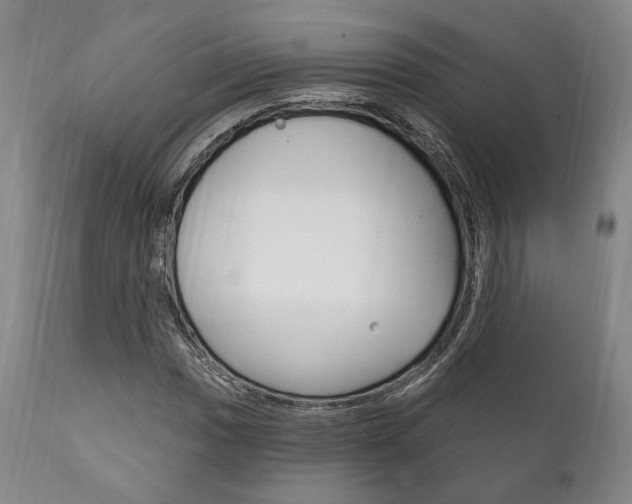 X0000111821017200907231019