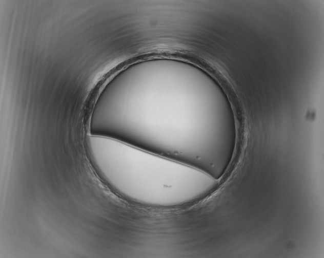 X0000111821018200907231019