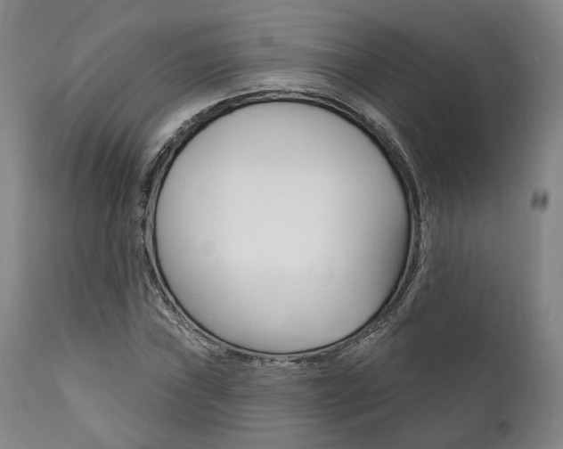 X0000111821019200907231019