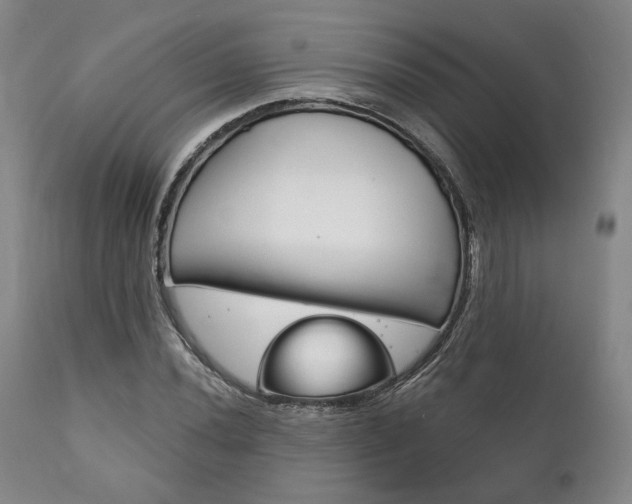 X0000111821020200907231019