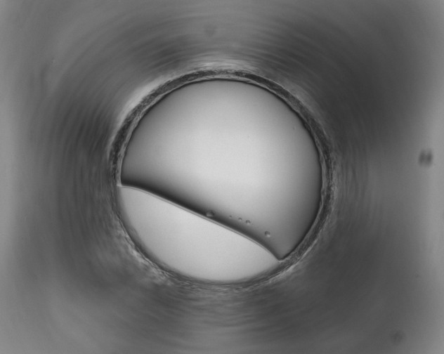 X0000111821022200907231019