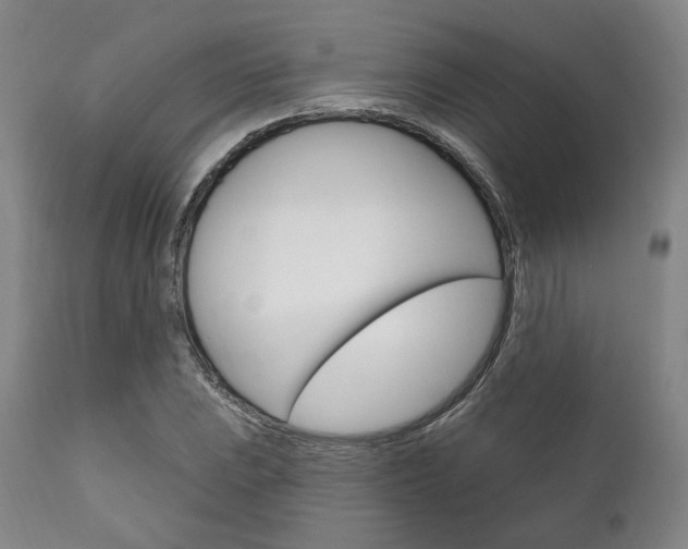 X0000111821023200907231019