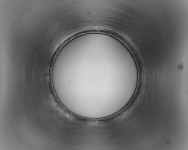 X0000111821025200907231019