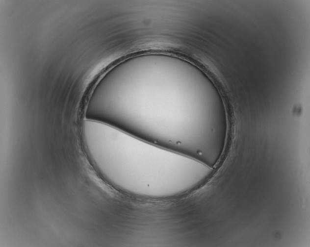 X0000111821026200907231019