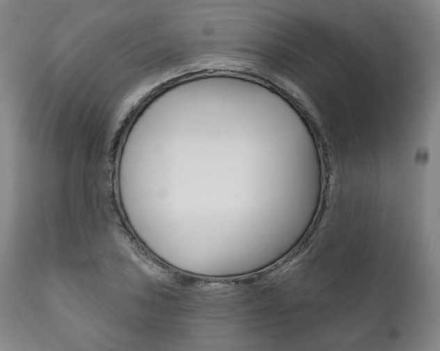 X0000111821027200907231019