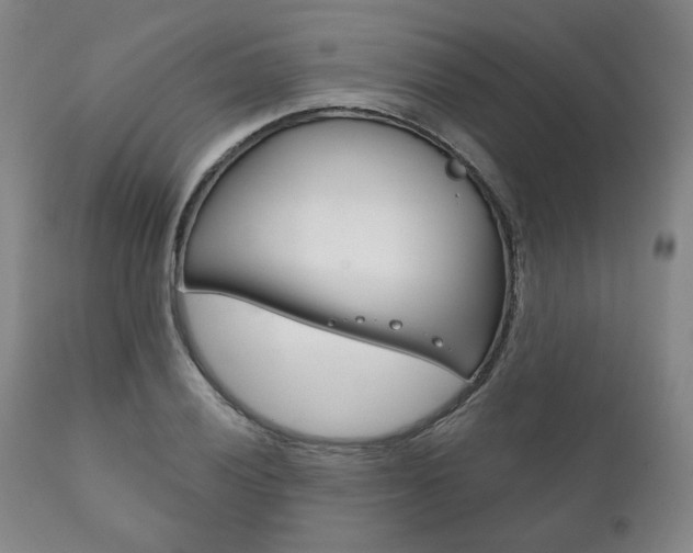 X0000111821028200907231019