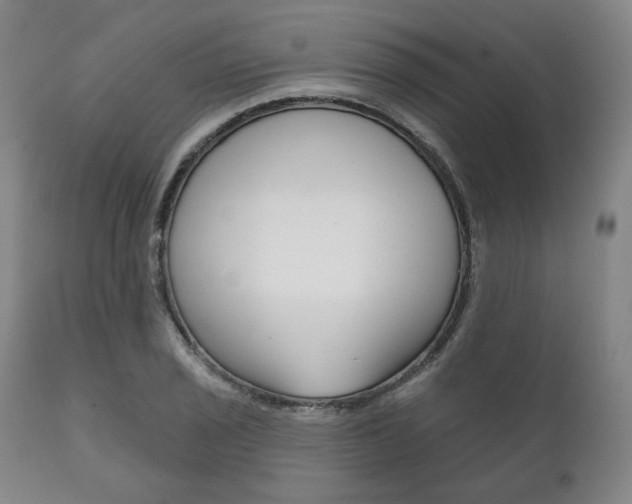 X0000111821029200907231019
