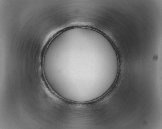X0000111821030200907231019