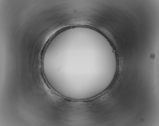X0000111821031200907231019