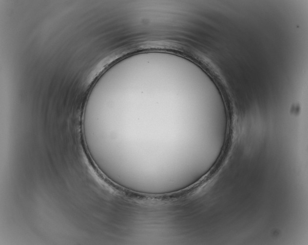 X0000111821033200907231019