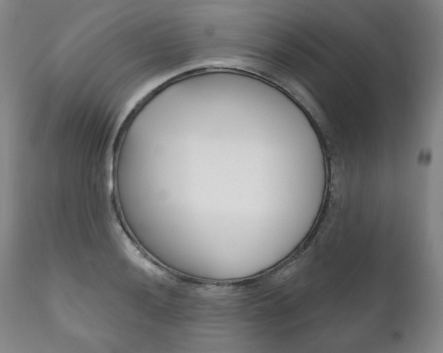 X0000111821036200907231019