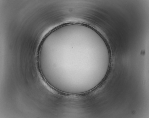 X0000111821037200907231019