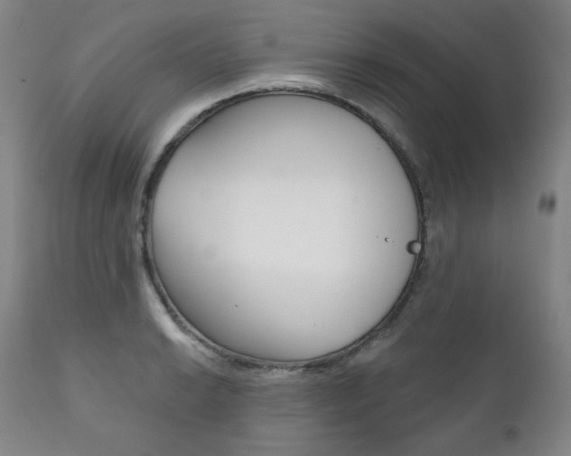 X0000111821038200907231019