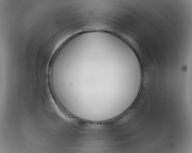 X0000111821039200907231019